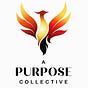 A Purpose Collective's avatar