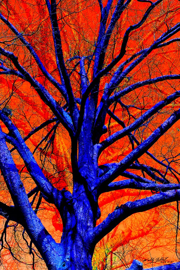 A blue tree with orange background

Description automatically generated