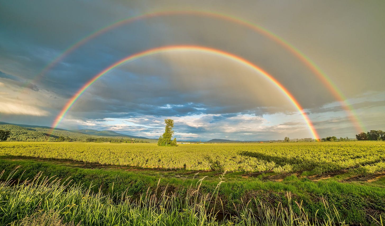 A double rainbow in a beautiful green field. A double rainbow in a beautiful green field.