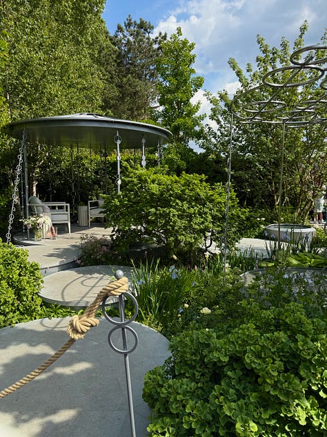 multi-stemmed trees of various species in gardens at the chelsea flower show
