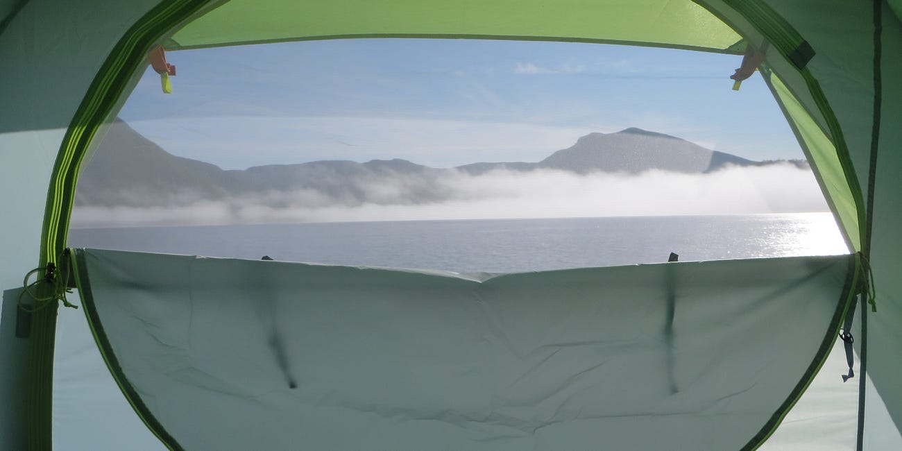 Whale watching from our campsite