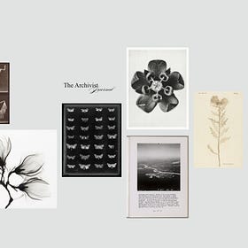 The beauty and the fragile