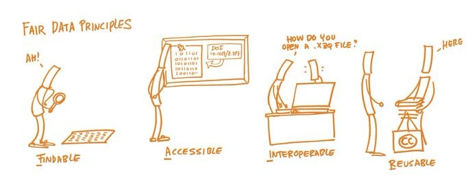 No alt text provided for this image