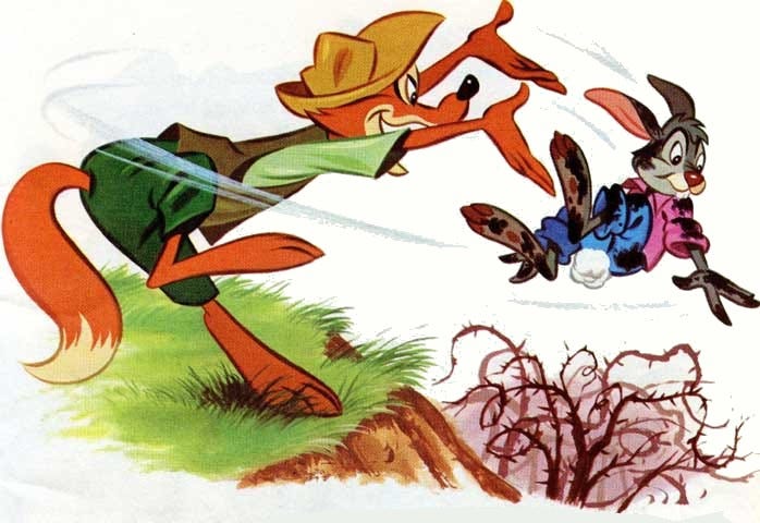 Don't Throw Me in that Briar Patch, Br'er fox! – Reflections