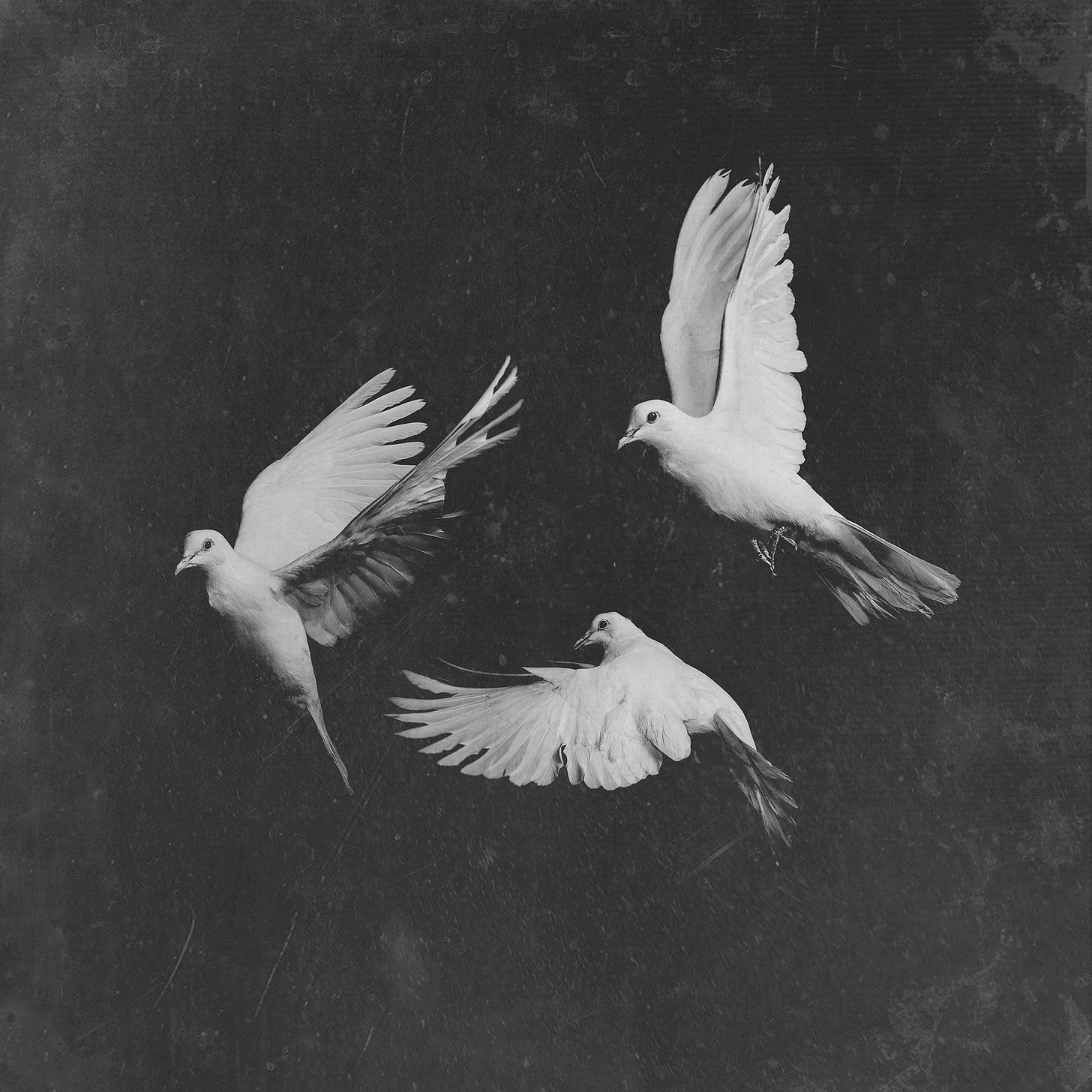 An image added by dreamthinkdo on Mar 20, 2025. May present: pusha t untouchable, untouchable, king push – darkest before dawn: the prelude.