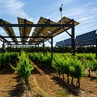 Rethinking the Energy-Agriculture Nexus