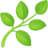 🌿 🌿