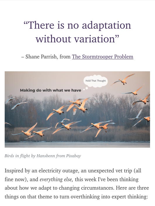 Screenshot of Hold That Thought with quote from Shane Parrish, image of birds in flight, and intro text.