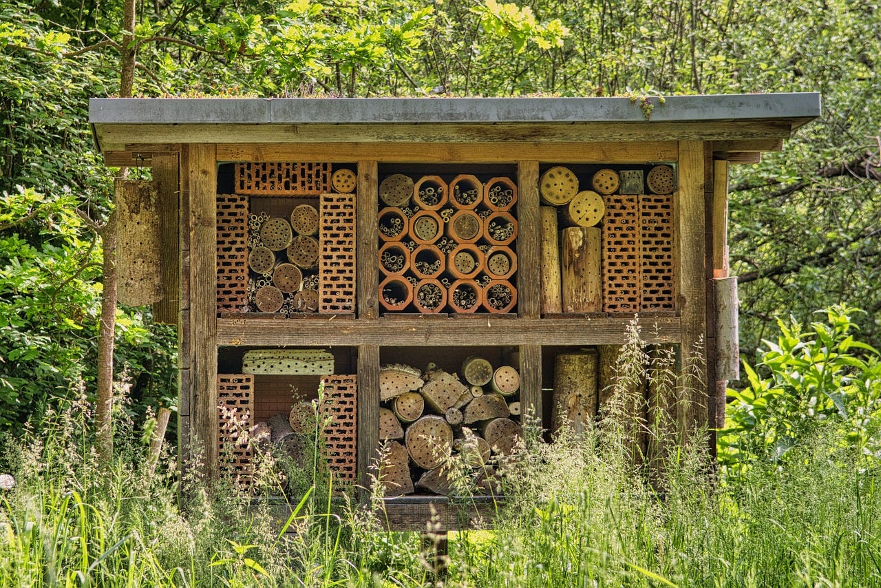 bee hotel bee hotel