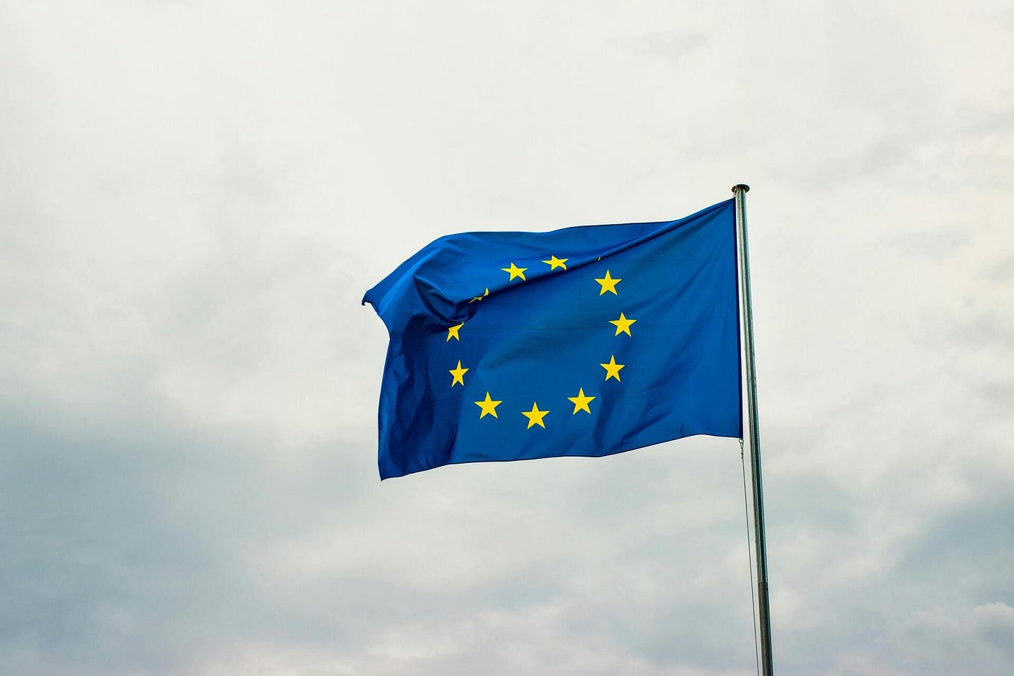 Photo Credits: Dušan Cvetanović/Pexels