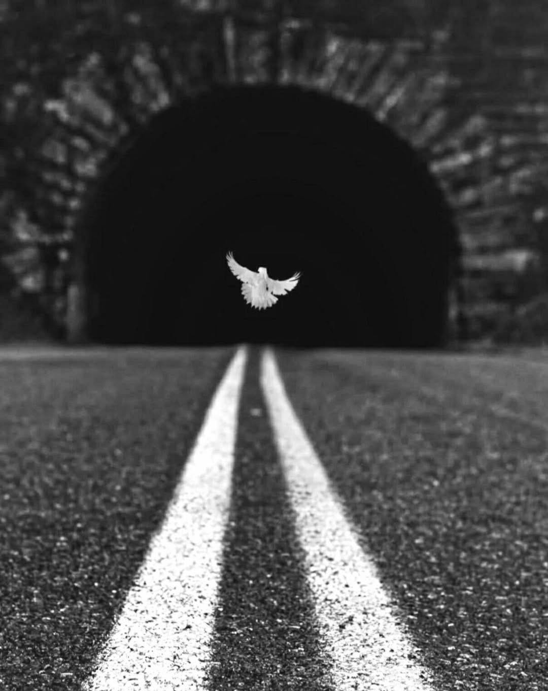 May be a black-and-white image of road