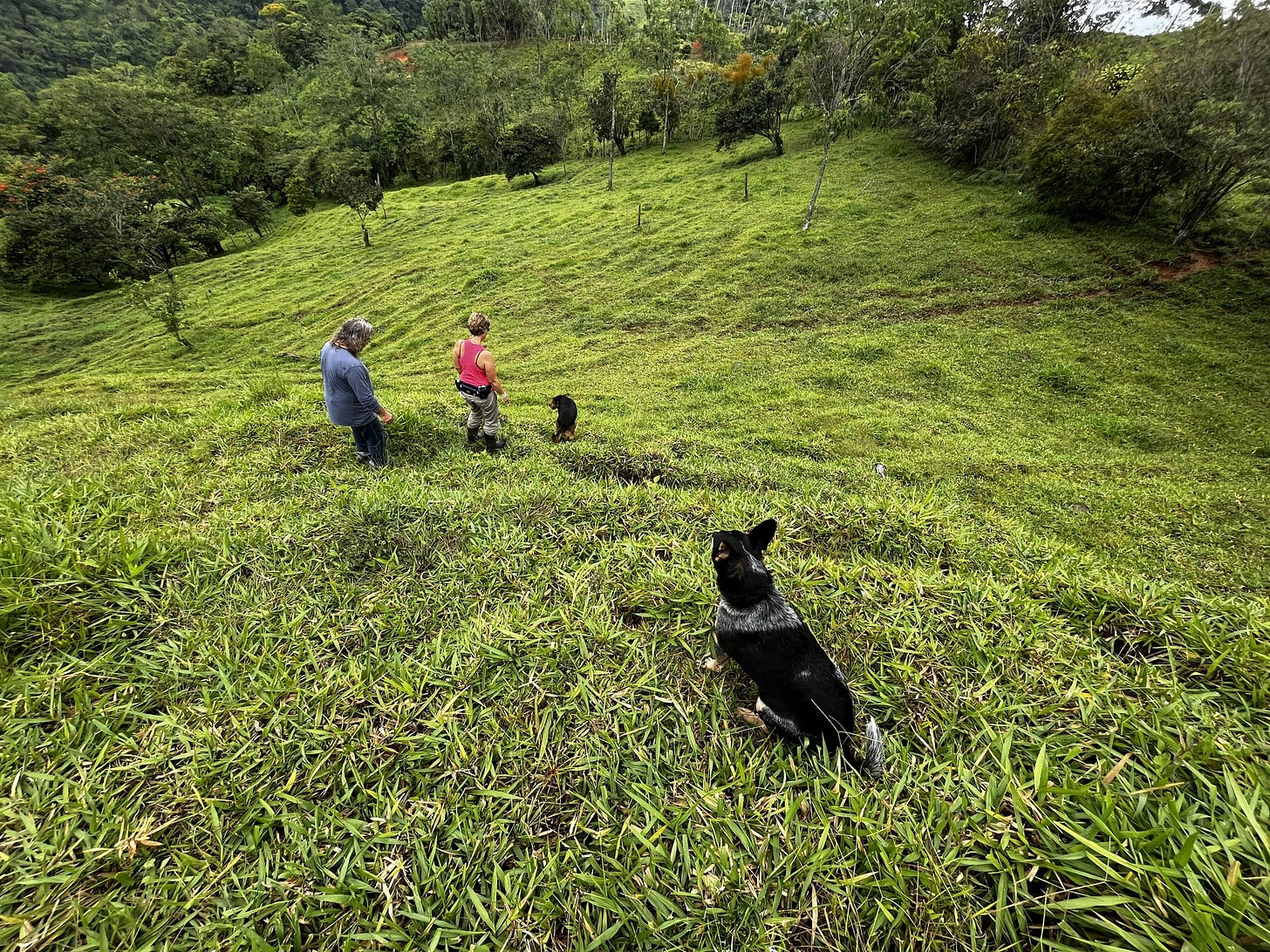 035: To Be, Or Not to Be... 035: To Be, Or Not to Be...