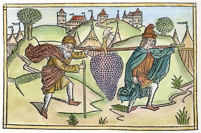 Spies Sent To Canaan Nthe Spies Sent To Scout The Land Of Canaan Return With A Bunch Of Grapes So Large It Takes Two Men To Carry It (Numbers 13 23-27) Woodcut From The Cologne Bible 1478-80 Poster Pr Spies Sent To Canaan Nthe Spies Sent To Scout The Land Of Canaan Return With A Bunch Of Grapes So Large It Takes Two Men To Carry It (Numbers 13 23-27) Woodcut From The Cologne Bible 1478-80 Poster Pr