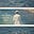 Accident on the Lake's avatar