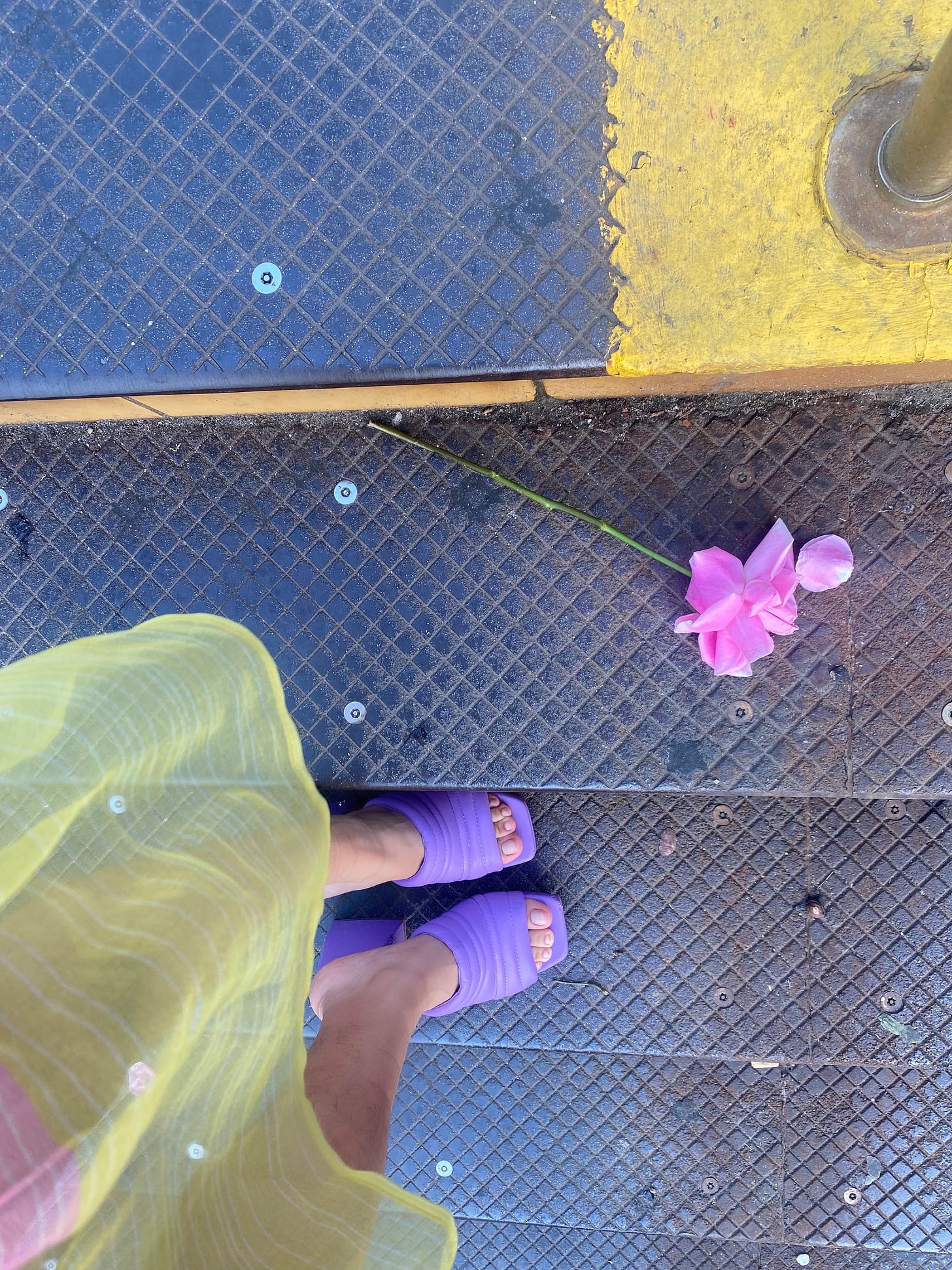 a pink rose that fell on the subway steps and has been stepped on. Kiana took a picture of her purple sandaled feet with the rose
