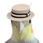 Bonafide Midwit's avatar