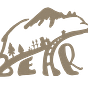 B.E.A.R.'s Substack