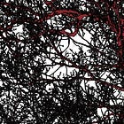 GROENE WEERBAARHEID