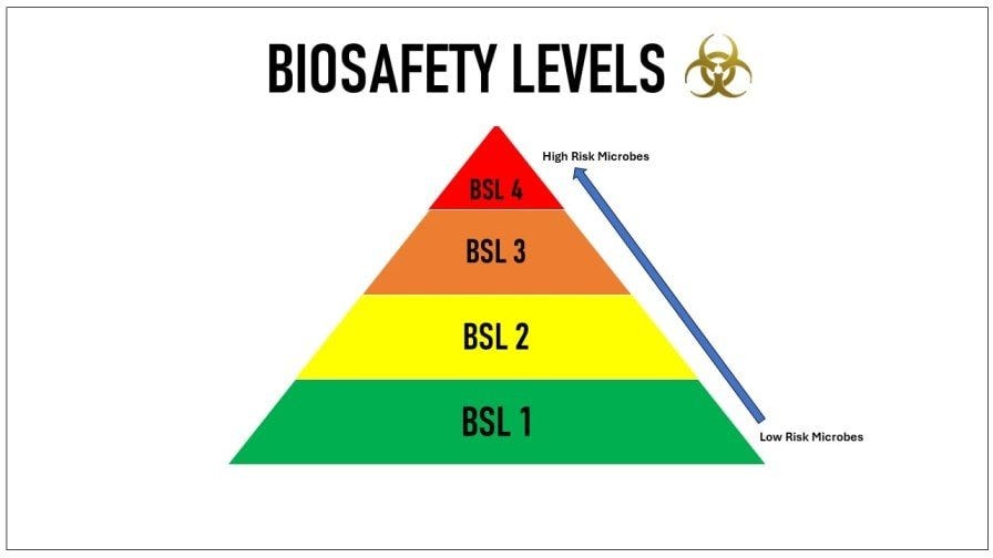 Biosafety-levels-pyramid Biosafety-levels-pyramid