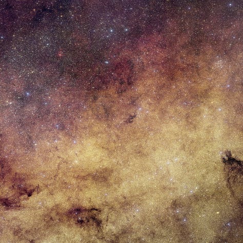 Have you ever seen so many stars?
