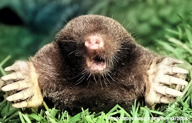 You kids, get out from under my lawn!