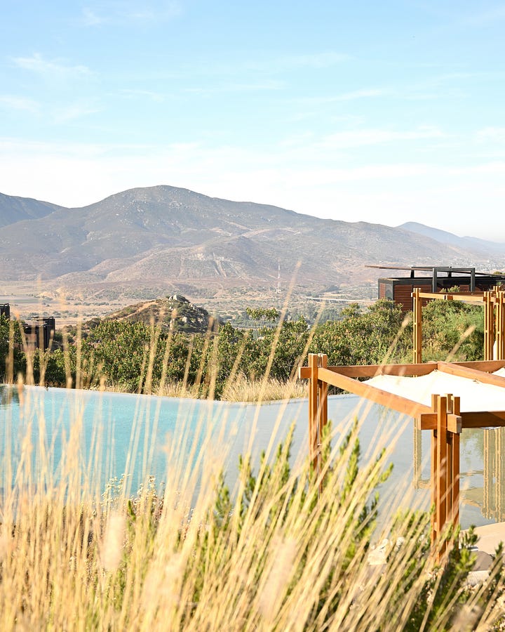 encuentro guadalupe in valle de guadalupe, mexico photographed by danielle g. adams