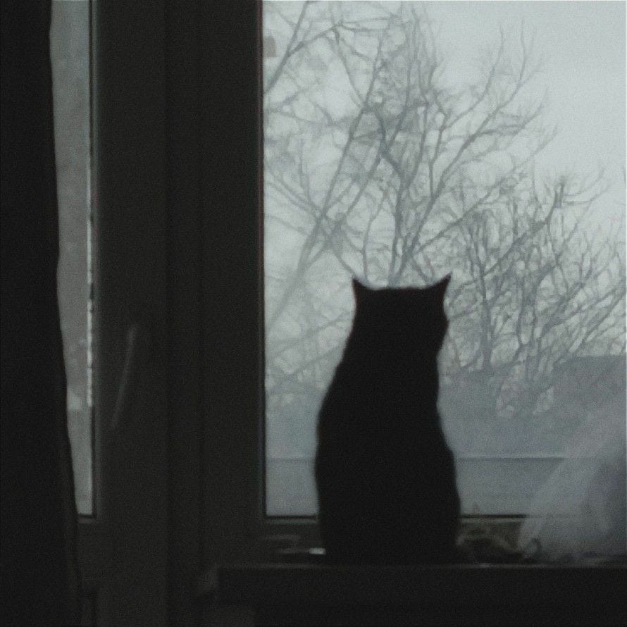 Artwork for March's Reveries