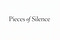 Pieces of Silence: Unspoken Stories from an Unquiet Mind