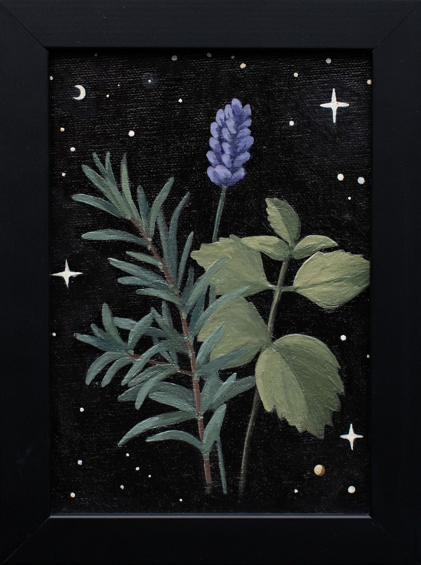 Painting by Amy Daileda with a dark brown/black background with stars and a moon and a sprig of rosemary, lavender and lemonbalm in the foreground.