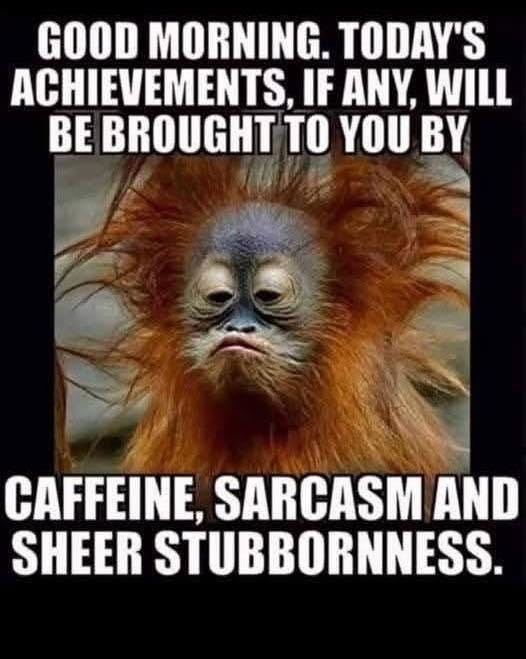 May be an image of coffee cup and text that says 'GOOD MORNING TODAY'S ACHIEVEMENTS, IF ANY, WILL BE BROUGHT TO YOU BY CAFFEINE, SARCASM AND SHEER STUBBORNNESS.'