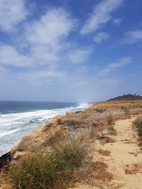 Images showing the beach and hiking trails in Torrey Pines State Beach