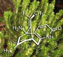 Huperzine A (Huperzia Serrata) Huperzine A (Huperzia Serrata)