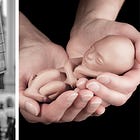 We Could Have Made Roe Irrelevant