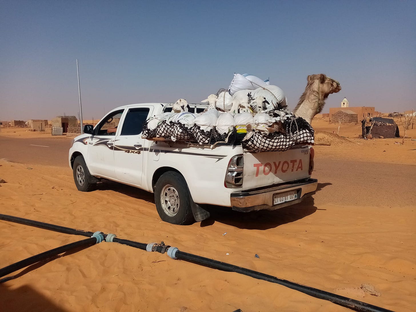 No photo description available.