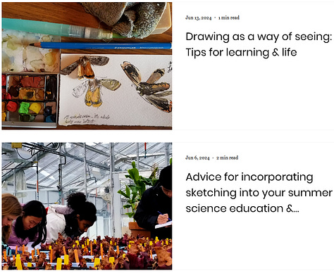 Gallery features three screenshots, each highlighting two blog posts, for a total of six images and six titles. The titles and images highlight a range of topics about sketching, art, and connections to science. All the images and text can be accessed by following the link in the blog post (gallery format does not allow hyperlinking)