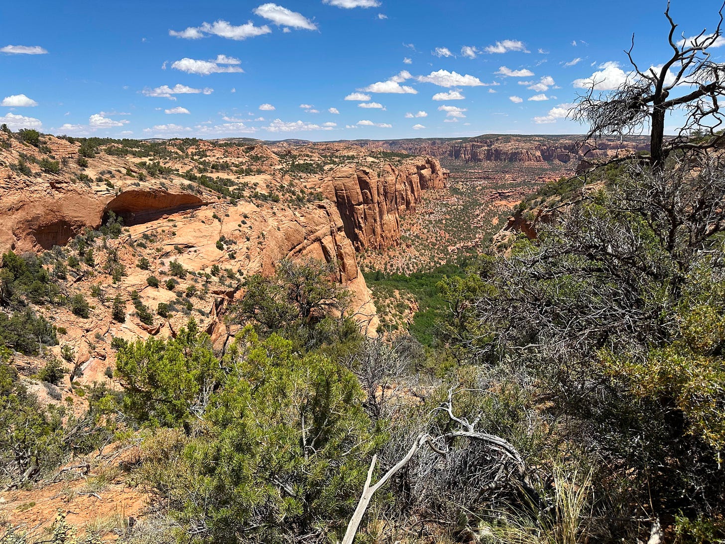 View from the start of the trail