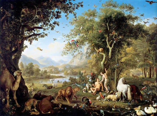 The Garden of Eden | Ernie's Musings