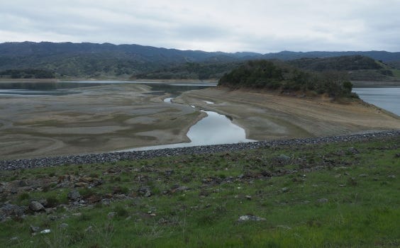Looking east from Coyote Dam at Lake Mendocino, toward the little island where the geese live. As of the first week in March, the reservoir was at only 46 percent of its target water supply curve—about 33,000 acre-feet of its total capacity of about 118,000 acre-feet. (Photo by Karen Rifkin)