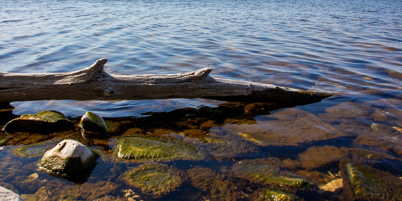 Hidden Channels: Former employees, volunteers, and beneficiaries