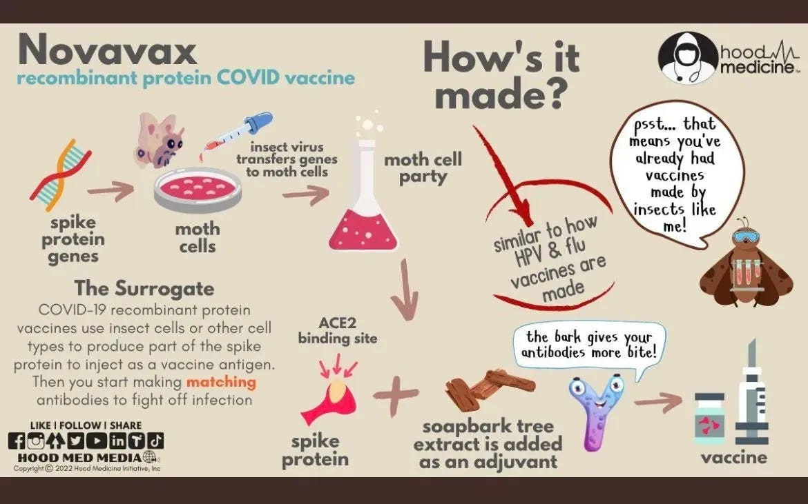 Infographic of Novavax recombinant protein COVID vaccine from a Hood Medicine tweet dated August 21st, 2022. Text says: "The Surrogate: COVID-19 recombinant protein vaccines use insect cells or other cell types to produce part of the spike protein to inject as a vaccine antigen. Then you start making matching antibodies to fight off infection." "How it's made, similar to how HPV and Flu vaccines are made." Images show spike protein genes -> moth cells -> insect virus transfers genes to moth cells -> moth cell party -> ACE2 binding site -> spike protein + soap bark tree extract is added as an adjuvant -> vaccine 