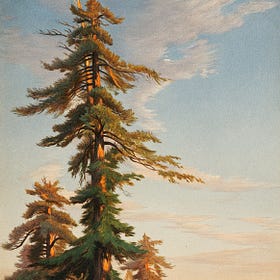 Copart's Cash Continues to Grow