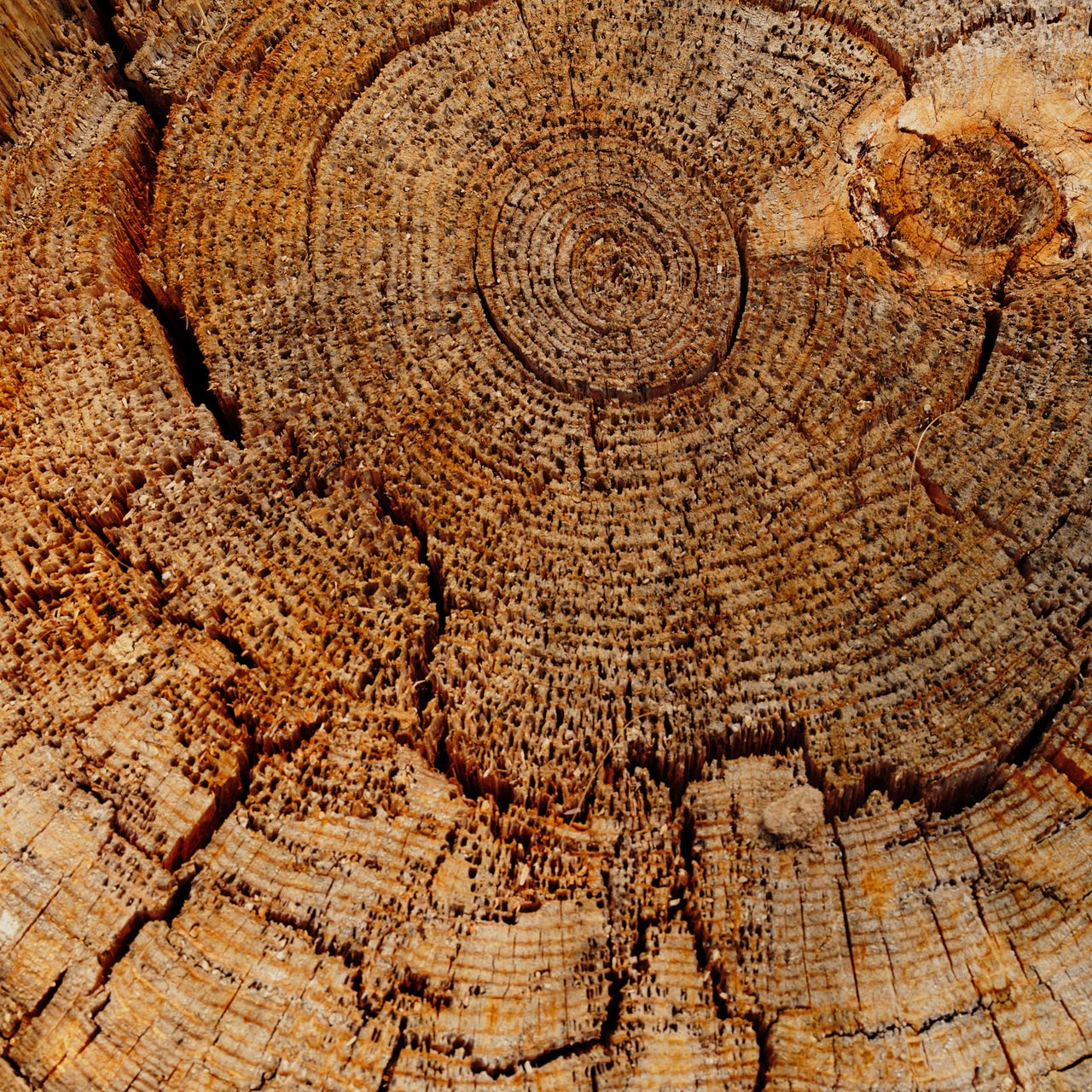 Warm Hughes Quarterly