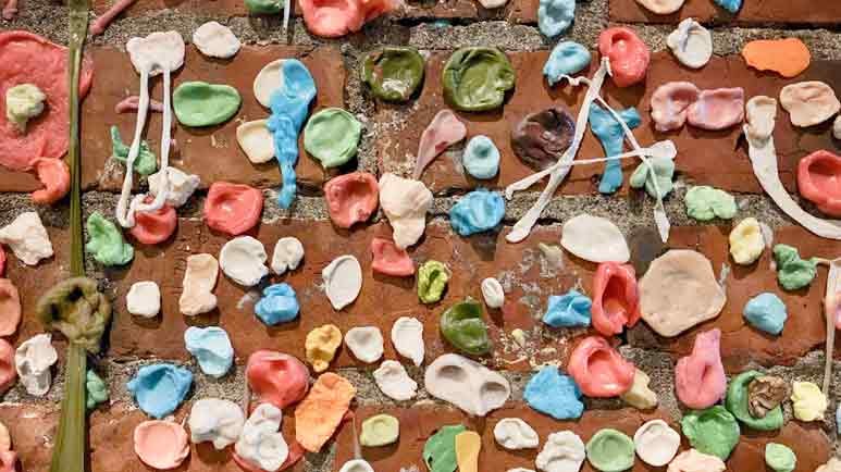 plastic gum