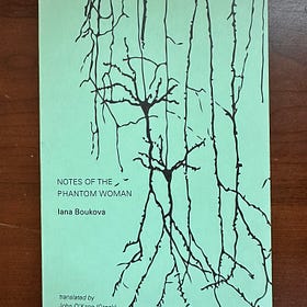 Greek and Bulgarian Poetry: Iana Boukova's Unwelt