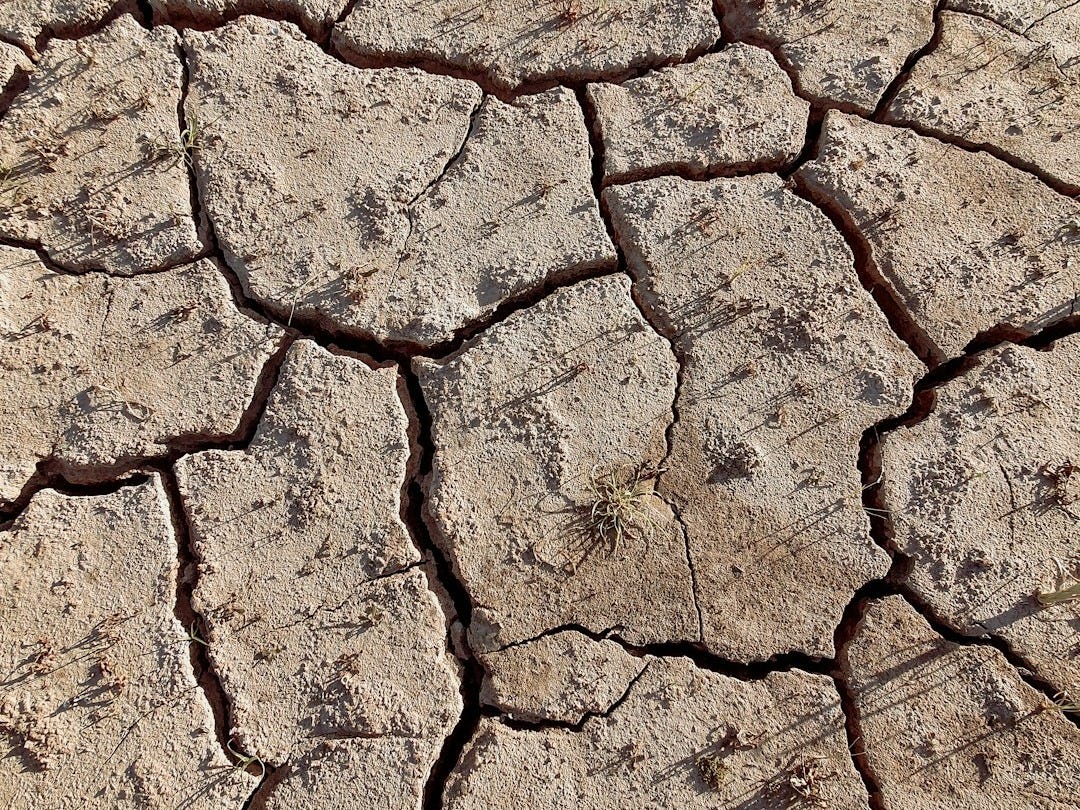 brown and white dirt ground brown and white dirt ground