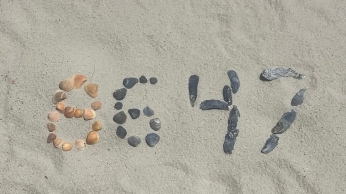 "86 47" Is Now Being Written Out In Seashells On Beaches Worldwide