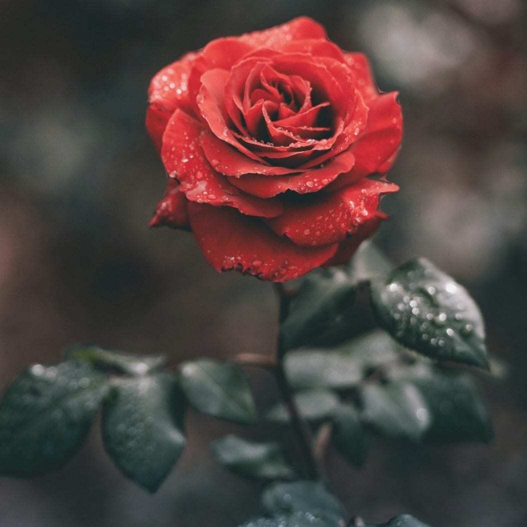 Jäger Take the Wheel