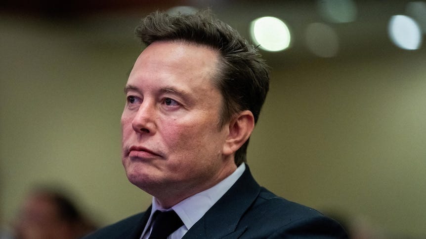 Elon Musk's foray into politics met with protest that's hurting Tesla  worldwide - ABC News