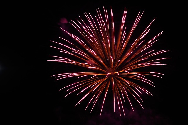 photo image of fireworks for story His Last Wish by JeniseCook.com photo image of fireworks for story His Last Wish by JeniseCook.com