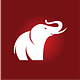 The Elephant
